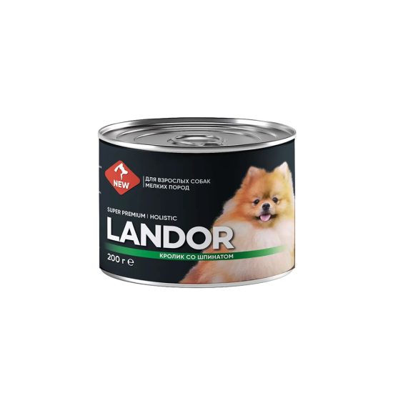 24 24