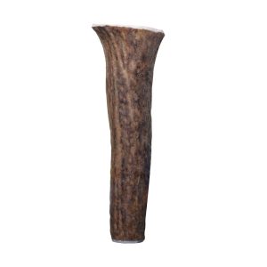 KONG Wild Whole Elk Antler Dog Bone