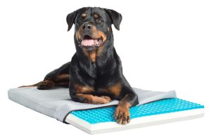 Pet Therapeutics TheraCool Gel Cell Cooling Pad with Tricore Charcoal-Infused Memory Foam Pet Bed