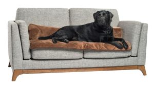 Pet Therapeutics TheraWarm Self-Warming Sofa Bolster and Furniture Protector