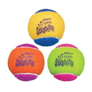 KONG SqueakAir Birthday Ball Dog Toy