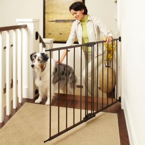 MyPet Windsor Walk-Thru Petgate