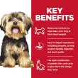 2861672-center-4.jpg