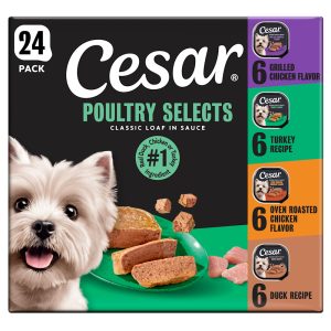 Cesar Loaf in Sauce Adult Wet Dog Food Poultry Flavors Variety Pack