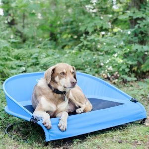 Gen7Pets Trailblazer Blue Cool-Air Cot for Dogs