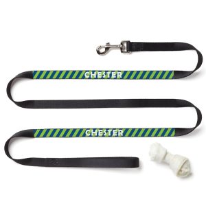 Custom Personalization Solutions Personalized Dog Leash