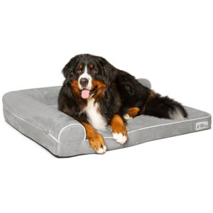 PetFusion BetterLounge Gray Dog Bed & Lounge