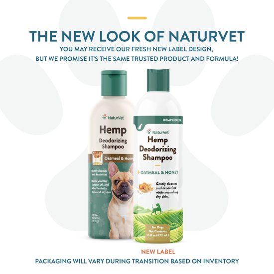 2979515-center-2.jpg 2979515-center-2.jpg