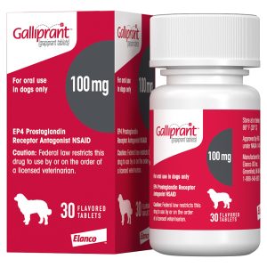 Galliprant 100 mg for Dogs