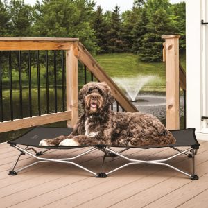 Carlson Pet Products Gray Portable Pup Pet Bed