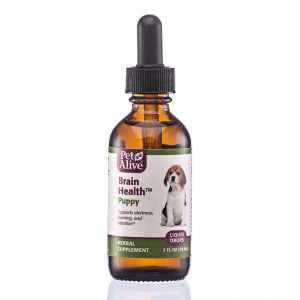 PetAlive Brain Liquid Drops Natural Herbal Brain Health Supplement for Growing Puppies