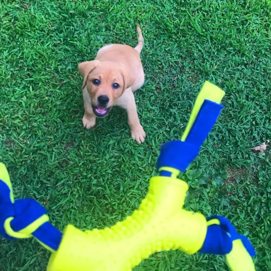 3190971-center-2.jpg