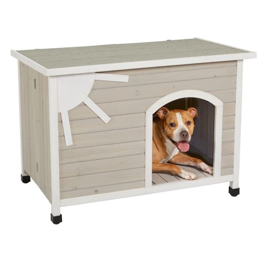 3203911-center-1.jpg 3203911-center-1.jpg