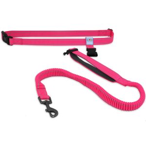 Pawtitas Reflective Running Handsfree Dog Leash Padded Handle