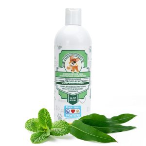 Pawtitas Handcrafted with Certified Organic Ingredients Eucalyptus and Spearmint Dog Shampoo and Conditioner