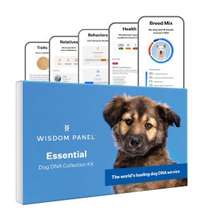Wisdom Panel Essential Dog DNA Test Kit