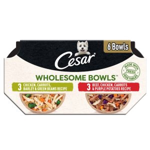 Cesar Wholesome Bowls Adult Soft Wet Dog Food Toppers Variety Pack