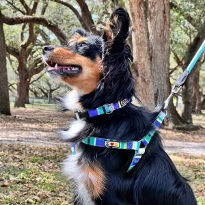 3350233-center-2.jpg