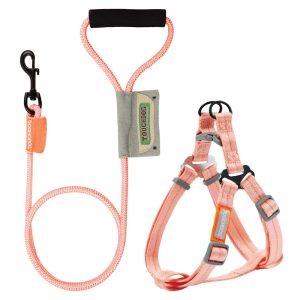 Touchdog 'Macaron' 2-in-1 Durable Nylon Dog Harness and Leash