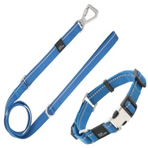Pet Life Blue 'Advent' Outdoor Series 3M Reflective 2-in-1 Durable Martingale Training Dog Leash and Collar