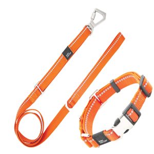 Pet Life Orange 'Advent' Outdoor Series 3M Reflective 2-in-1 Durable Martingale Training Dog Leash and Collar