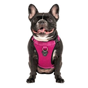 Canada Pooch Pink Everything Dog Harness
