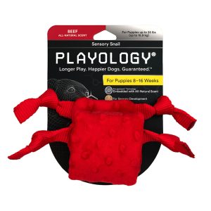 Playology Puppy Sensory Snail Beef Dog Toy