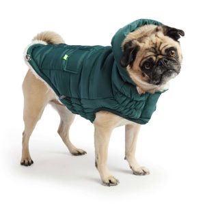 GF Pet Teal Super Puff Dog Parka