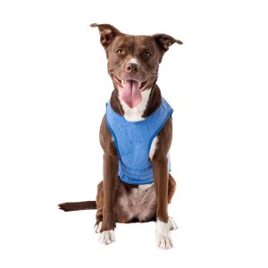 GF Pet Blue Elasto-Fit Ice Dog Vest
