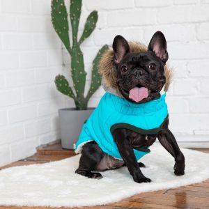 GF Pet Aqua Winter Sailor Dog Parka