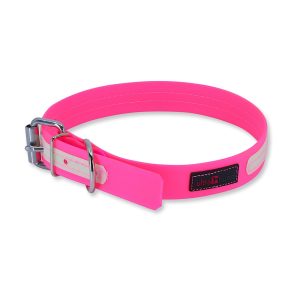 Ultrahund Play Glow Buckle Dog Collar