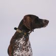 3681841-center-3.jpg