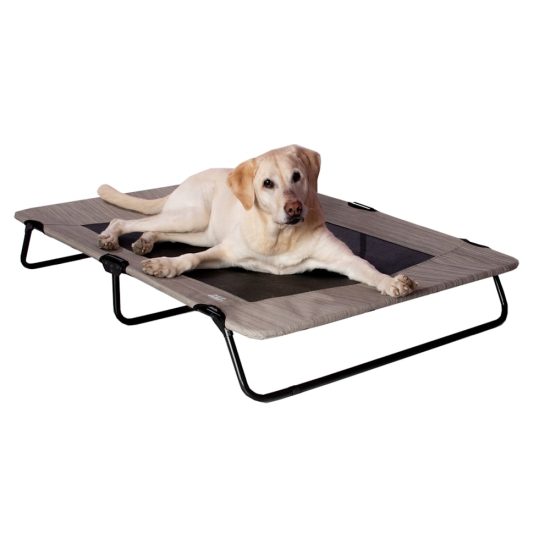 3793747-center-1.jpg