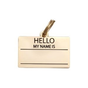 Two Tails Pet Company Hello My Name is Blank Pet ID Tag