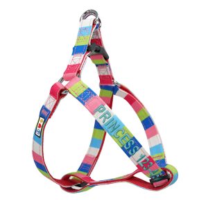 Pawtitas Pink/Blue/Teal/Green Multicolor Personalized Dog Harness