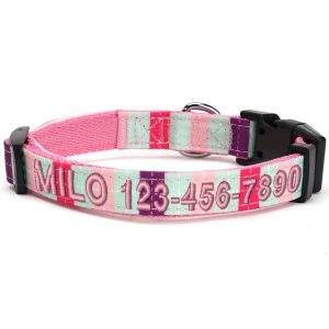 Pawtitas Multicolor Personalized Dog Collar