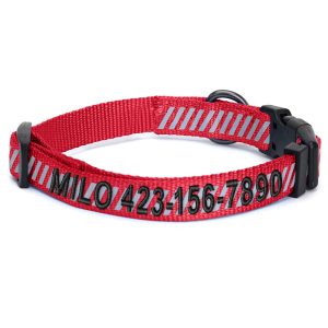 Pawtitas Personalized Reflective Traffic Dog Collar