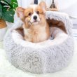 3810666-center-4.jpg
