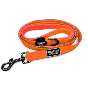 Joyride Harness Matching Dog Leash