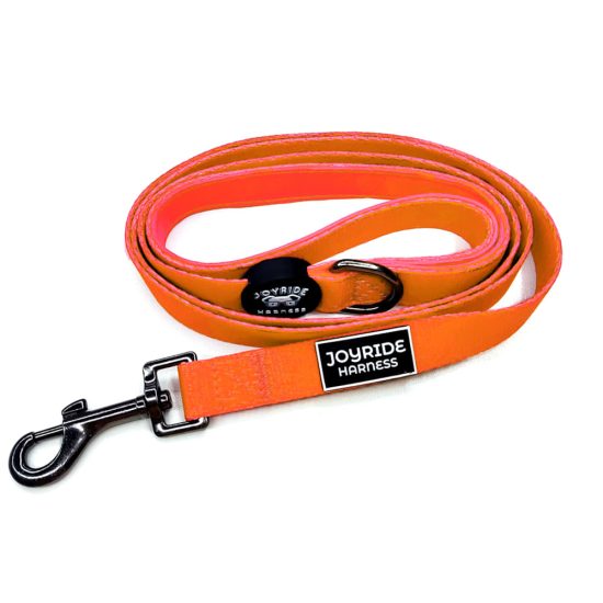 3818991-center-1.jpg 3818991-center-1.jpg