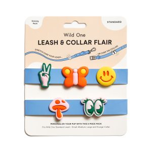 Wild One Leash and Collar Flair in Groovy