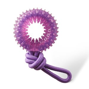 Outward Hound Purple Dental Chew Wheel Dog Toy