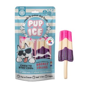 Pup Ice Rocket Lollies Srawberry and Blueberry Treats for Dogs