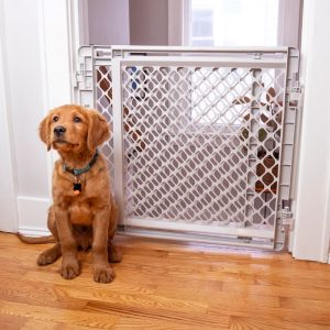 MyPet Gray 2-In-1 Easy Swing Pet Gate