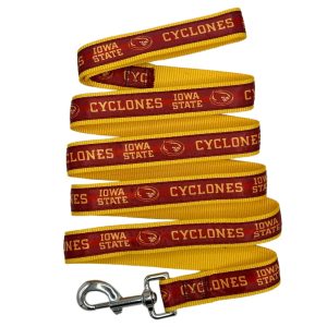 Pets First NCAA Iowa State Satin Dog Leash