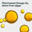 3954926-center-4.jpg