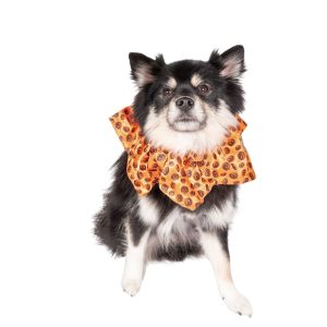 Lexington Road Halloween Pumpkin Scrunchie for Dogs
