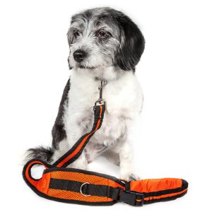 Pet Life Echelon Hands Free and Convertible 2-in-1 Training Dog Leash and Pet Belt with Pouch