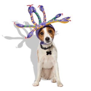 Petco Snake Pet Costume Headpiece