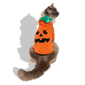 Petco Pumpkin Pet Hoodie